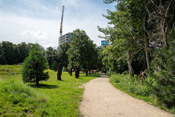 Bekijk foto 31 van Zuidsingel 28