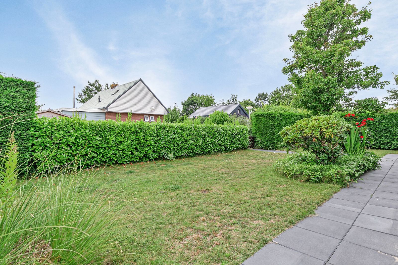 Foto 24 van Horizon 37