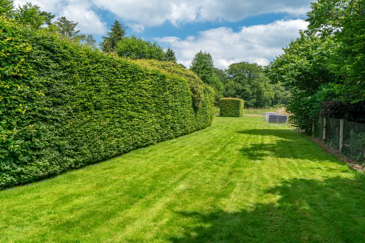 Foto 58 van Rijksstraatweg 348