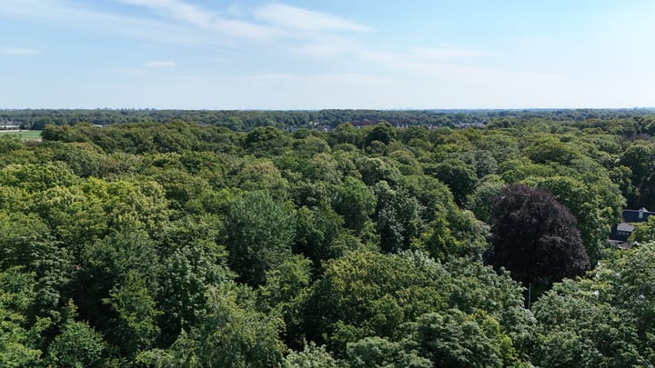 Foto 69 van Bekslaan 28