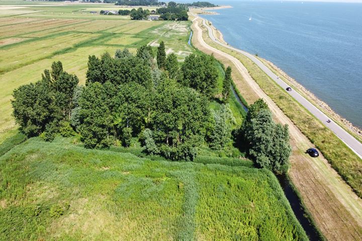 Zuiderdijk, Wijdenes