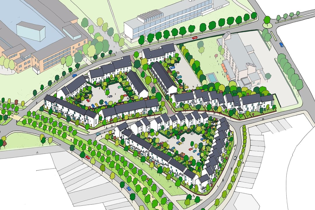 Foto 12 van De Groene Loper - Fleur, Fase 5