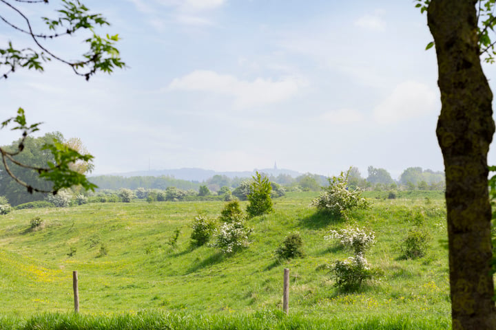 Bekijk foto 67 van Boterdijk 60