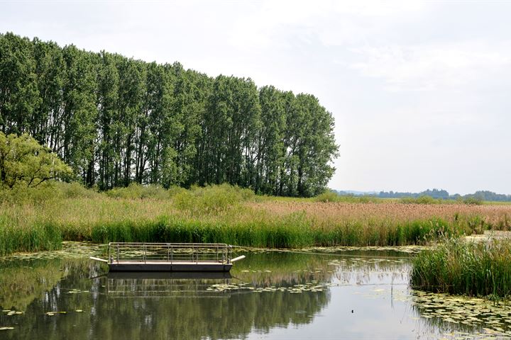 Bekijk foto 70 van Boterdijk 60