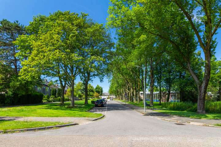 Bekijk foto 47 van Asserlaan 20