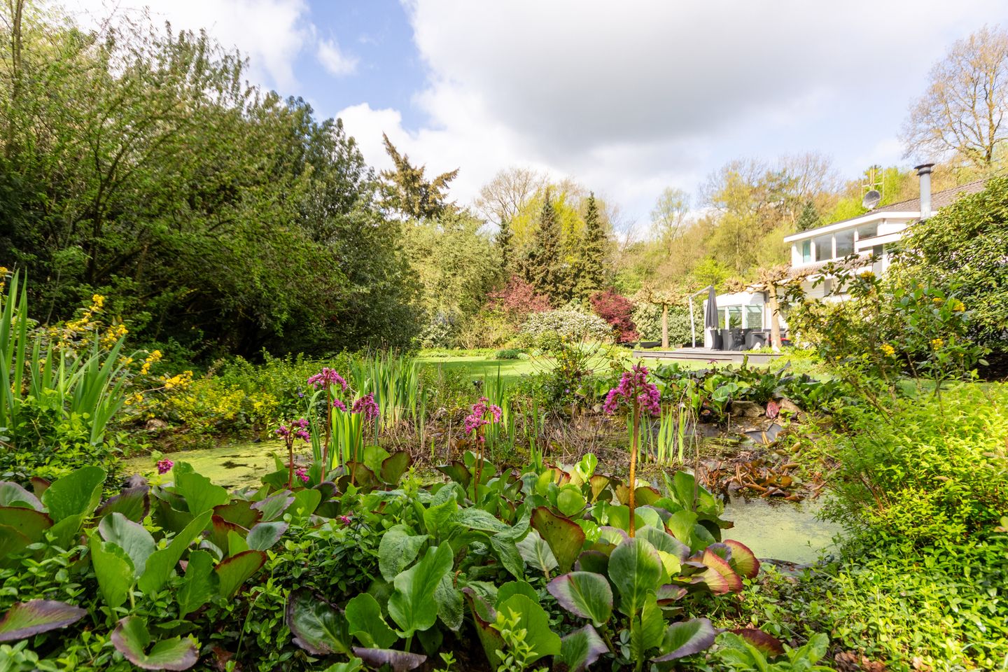 Foto 55 van Harskamperweg 27