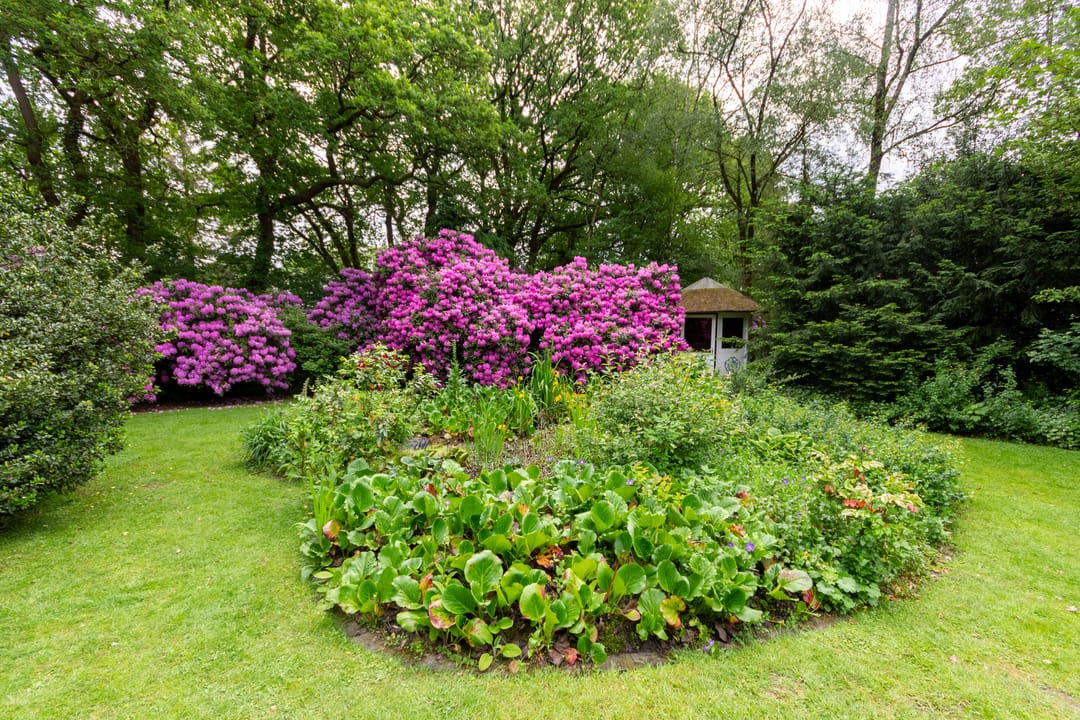 Foto 56 van Harskamperweg 27