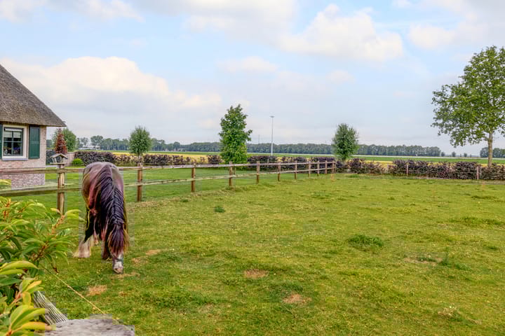 Foto 55 van Krommewijk 19