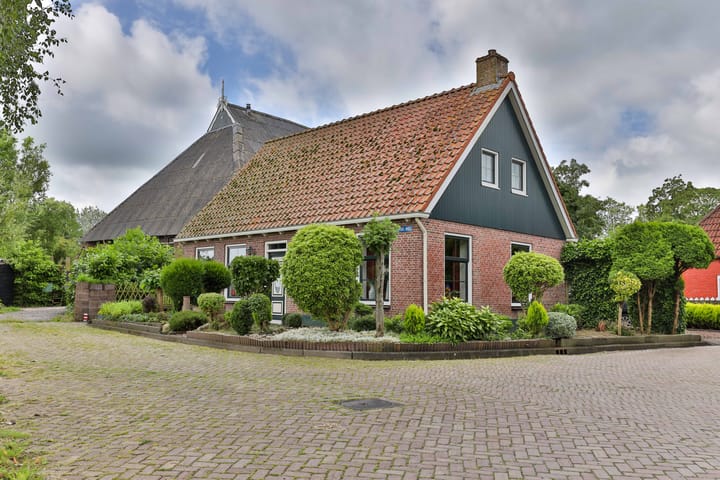 undefined main image