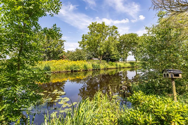 Bekijk foto 42 van Hoendiep ZZ 44