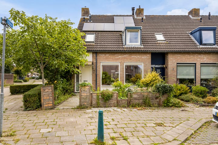 Foto 1 van Patrijs 24