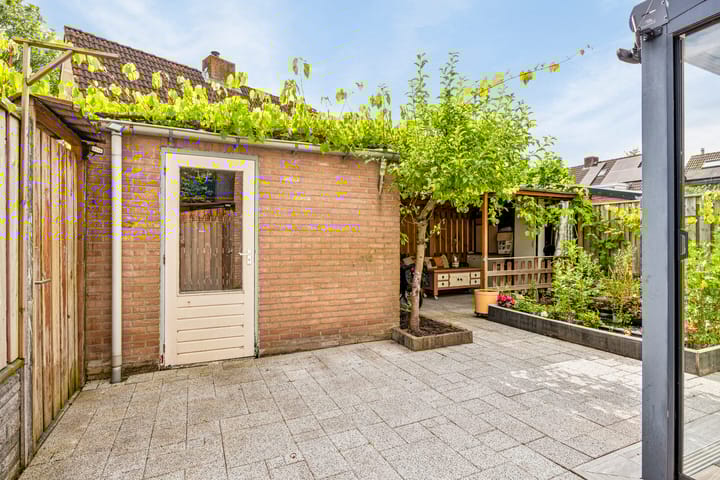 Foto 4 van Patrijs 24