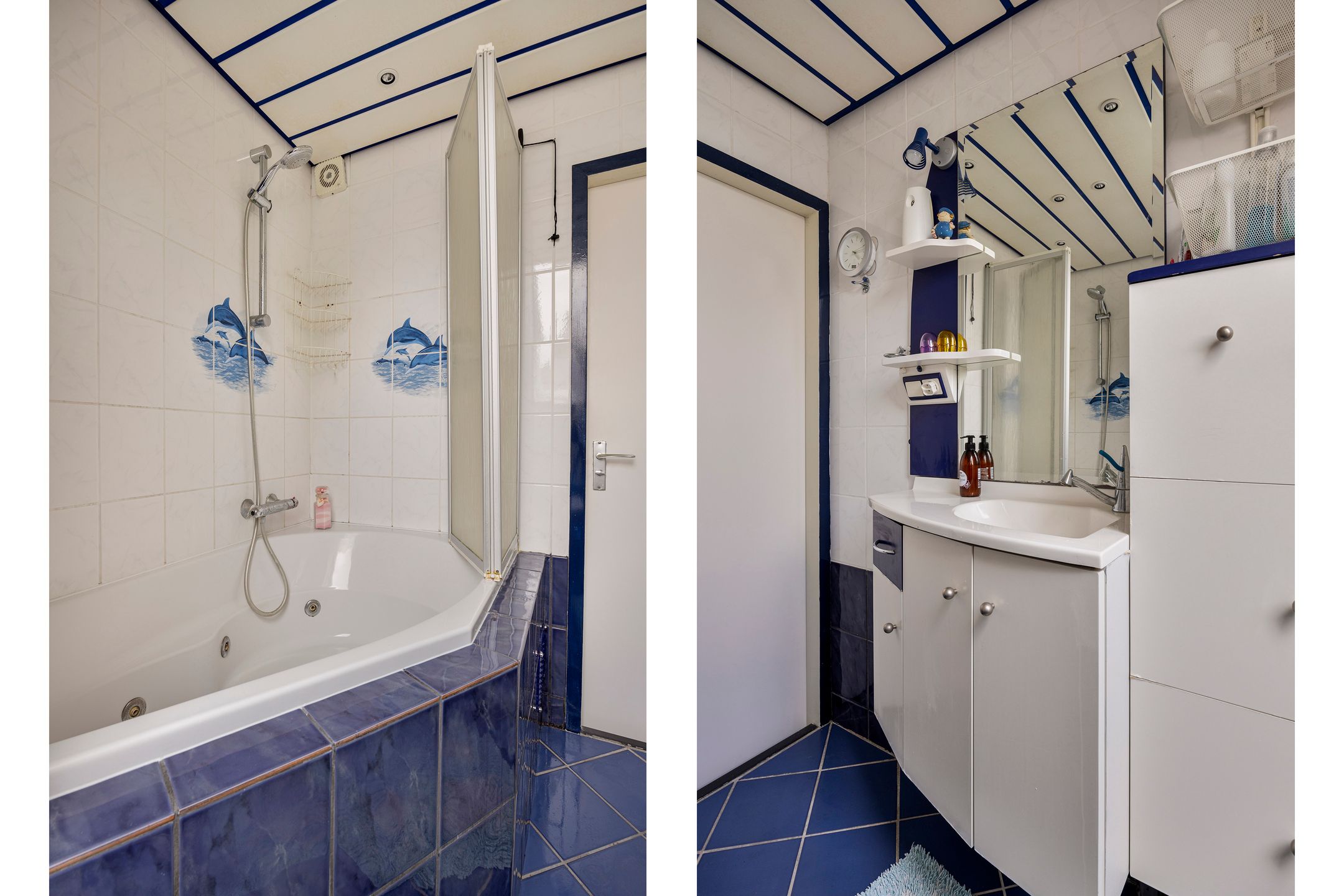 Foto 21 van Patrijs 24