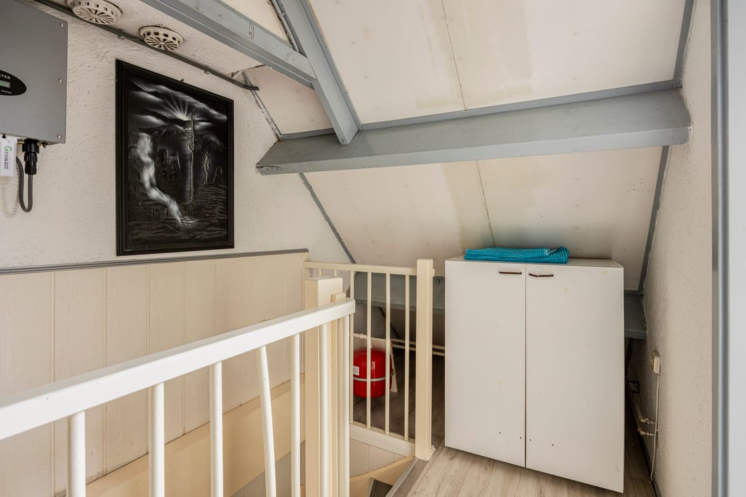 Foto 26 van Patrijs 24