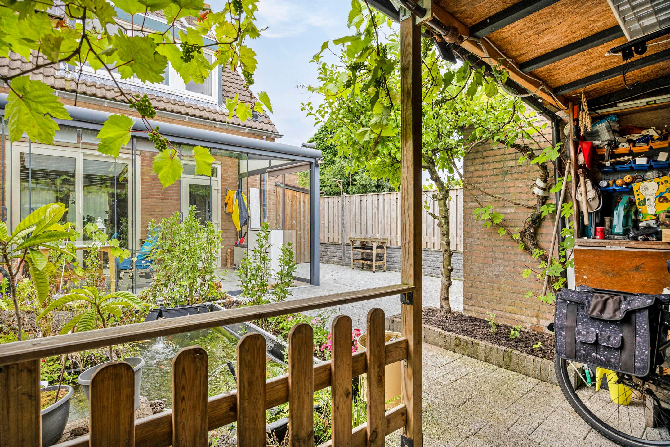 Foto 36 van Patrijs 24