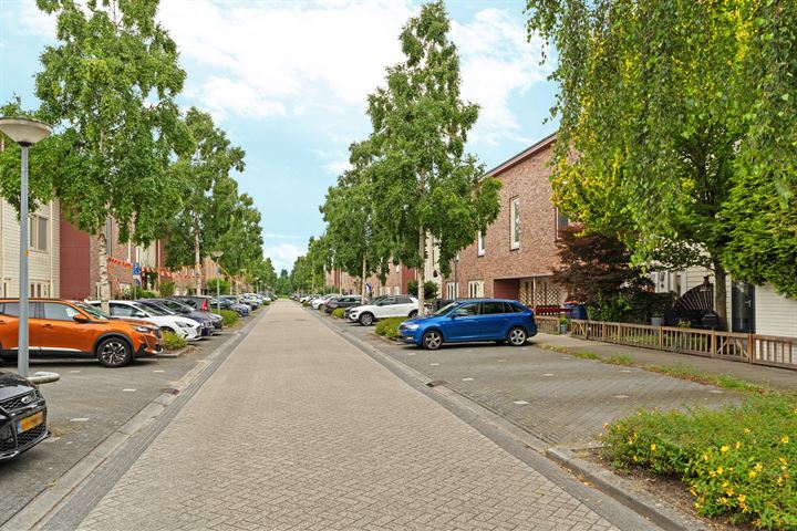 Bekijk foto 37 van Brancusistraat 83