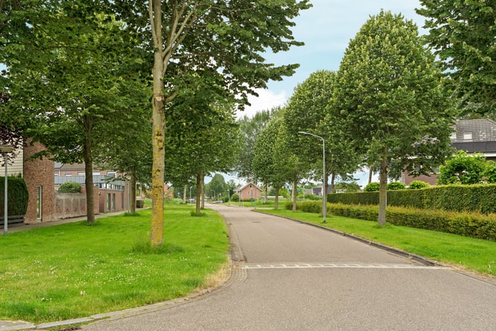 Bekijk foto 38 van Brancusistraat 83