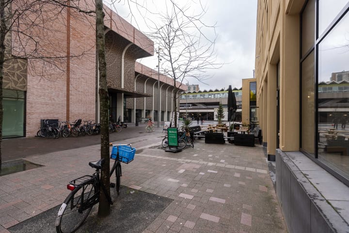 Foto 50 van Van Swietenlaan 41-A