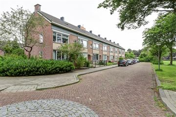 Jan Cupidostraat thumbnail