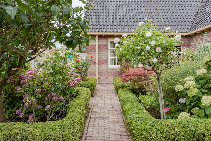 Foto 24 van Kamille 10