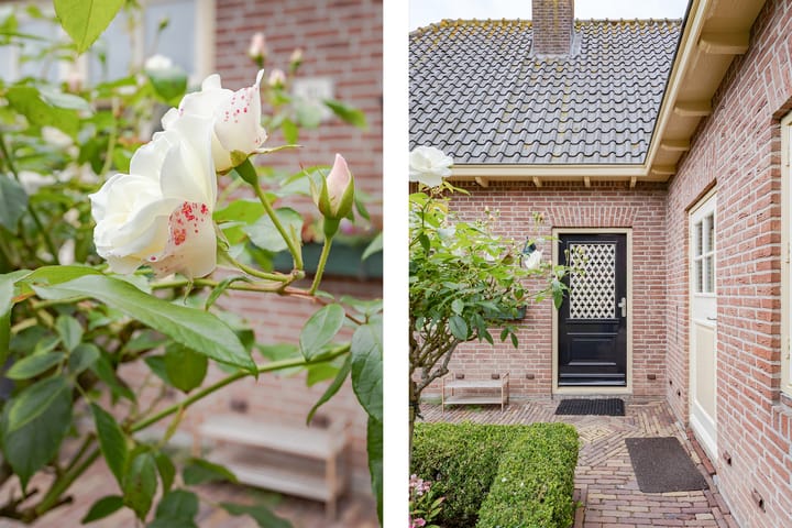 Foto 25 van Kamille 10