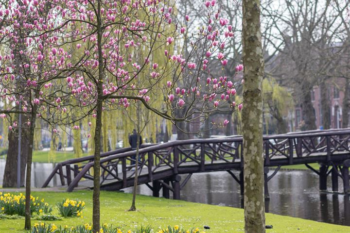 Bekijk foto 25 van Graaf Florisstraat 81-A