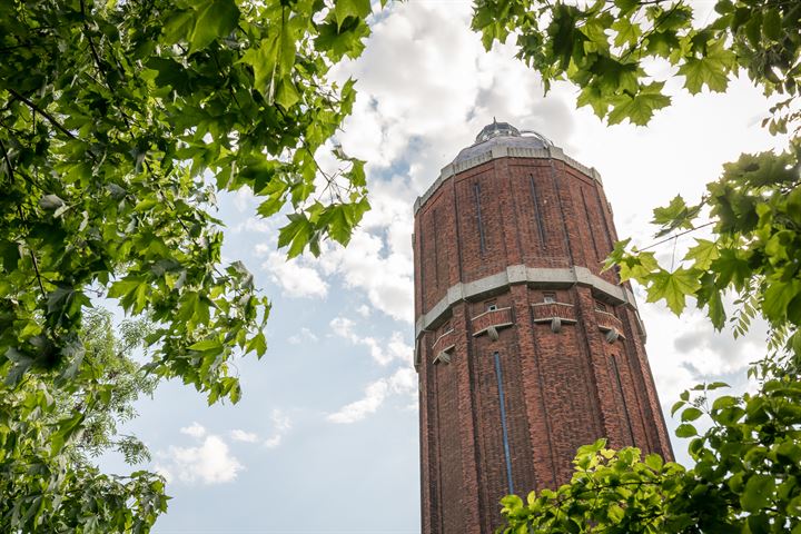 Bekijk foto 45 van Roodborst 34