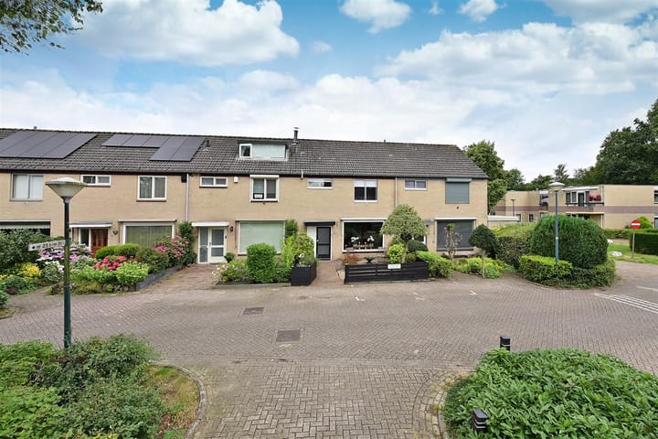 Foto 1 van Regenboog 36