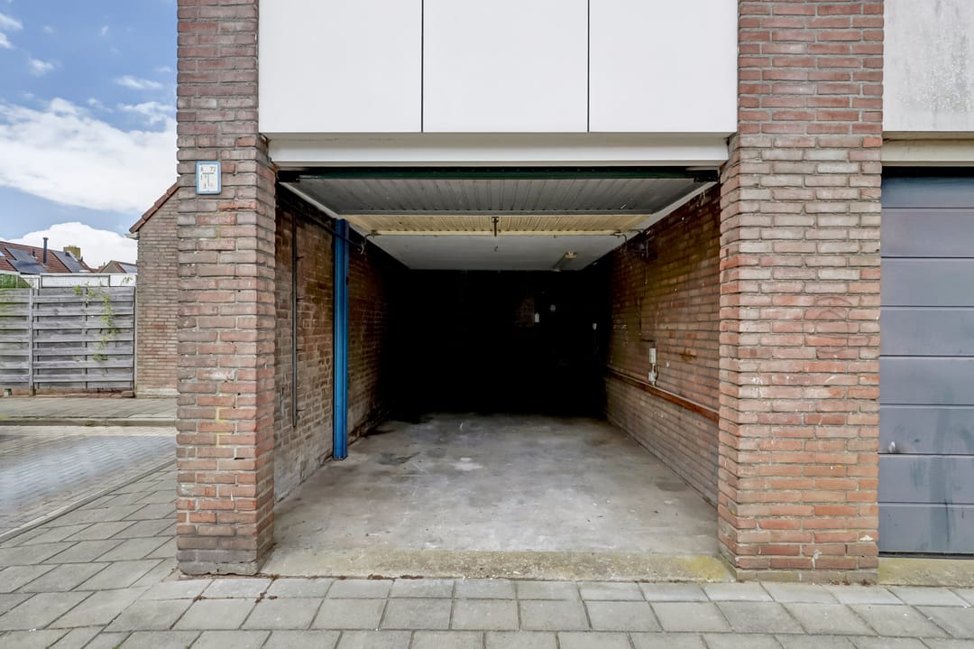 Foto 41 van Pinksterbloem 1