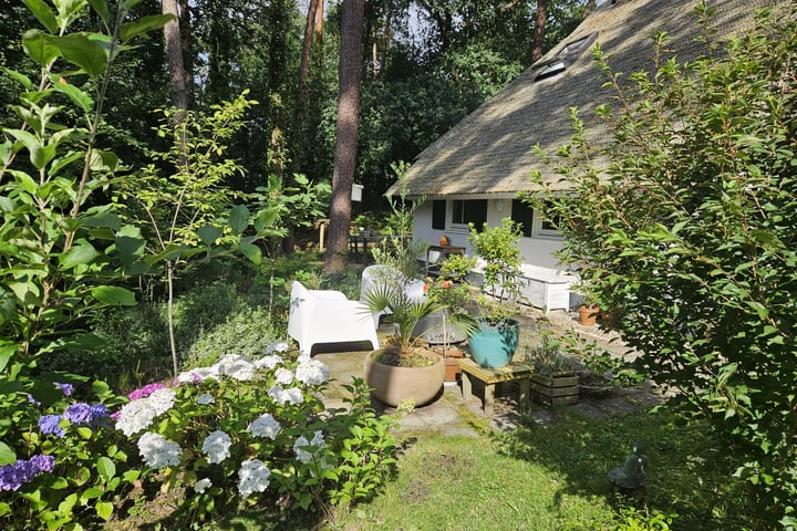 View photo 2 of De Witte Bergen 21