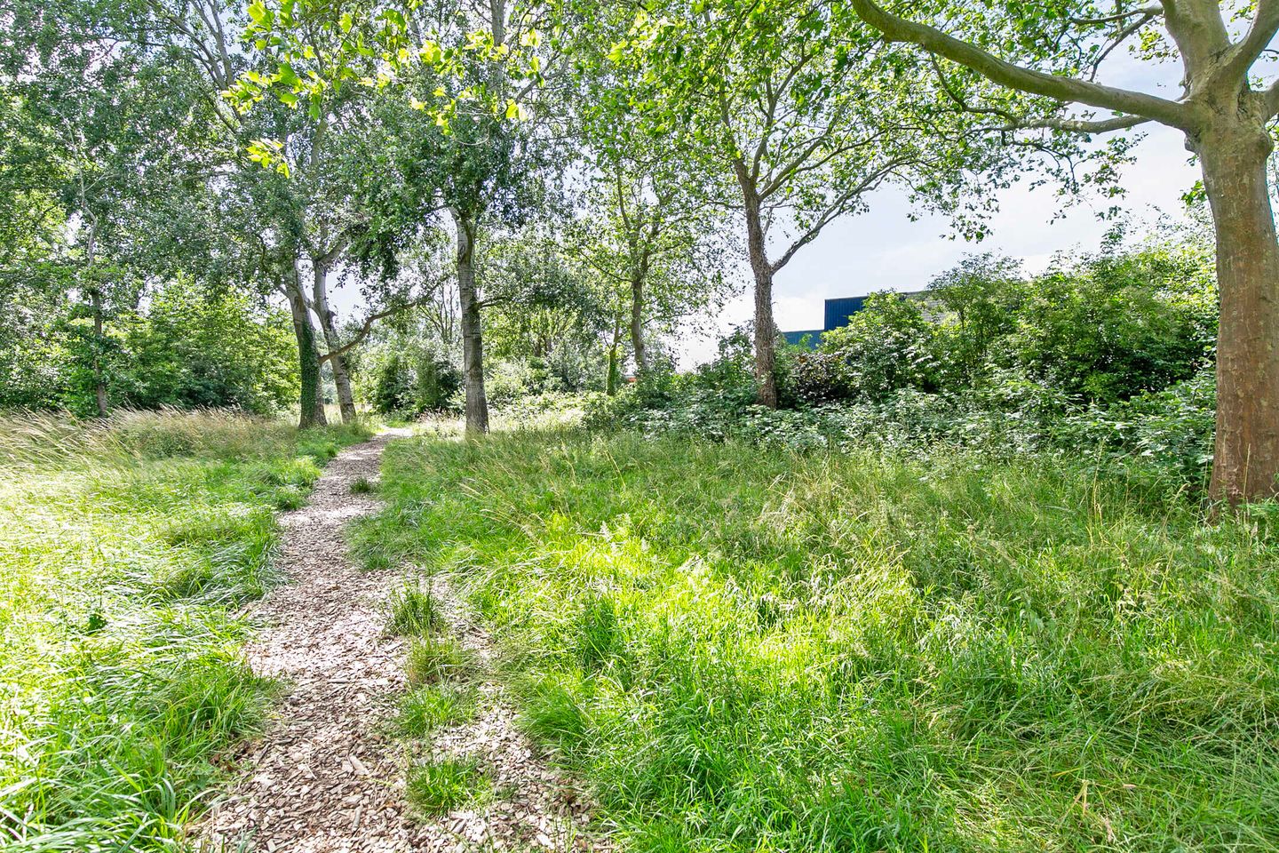 Foto 29 van Schoutstraat 47