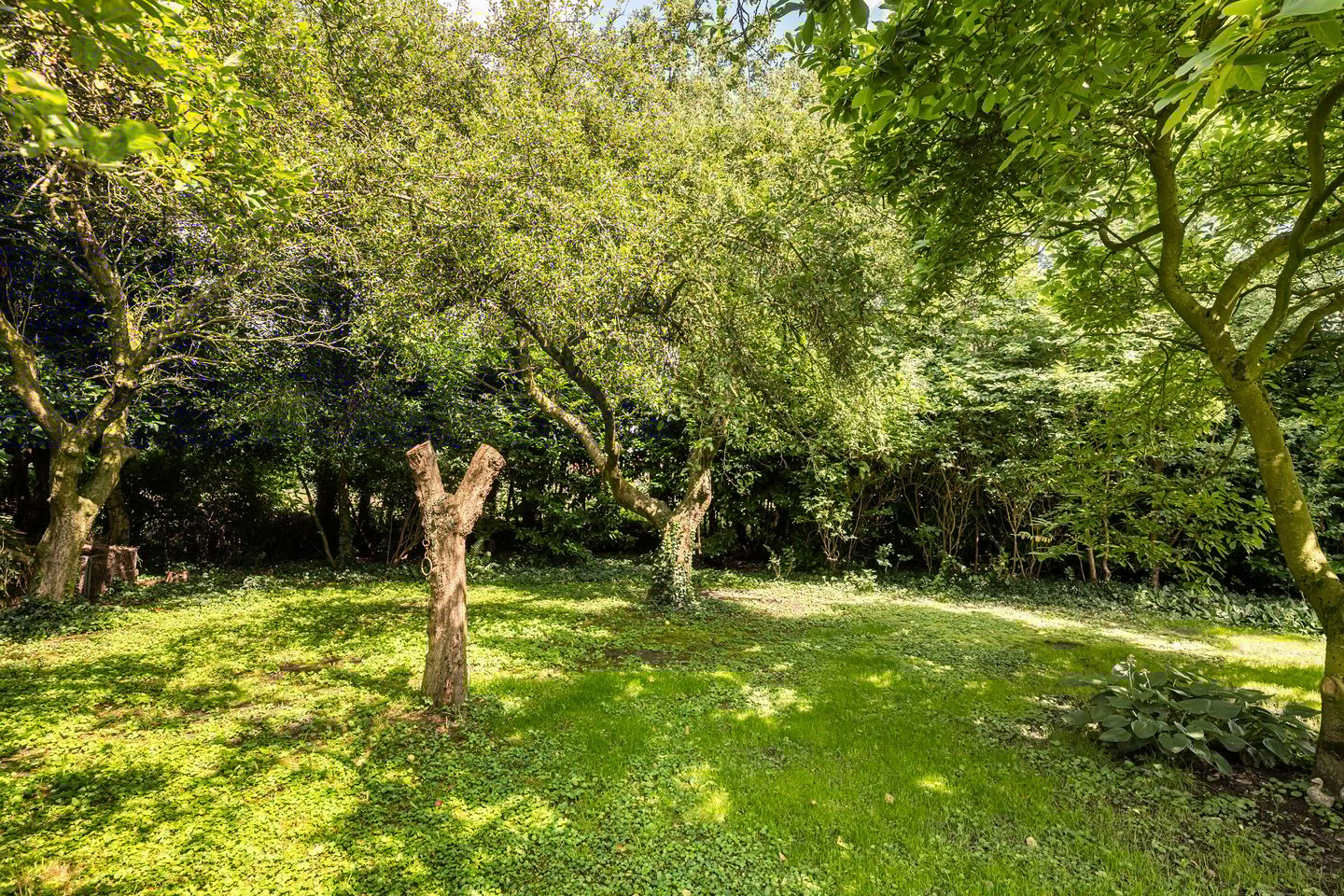 Photo 50 of G.W.van Marleweg 4