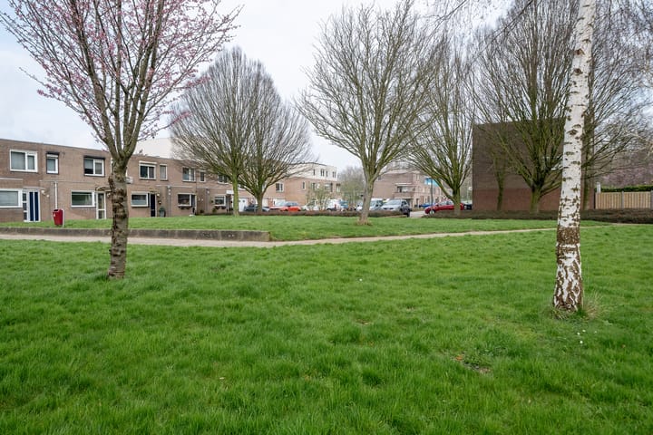 Foto 25 van Oosterdiep 24