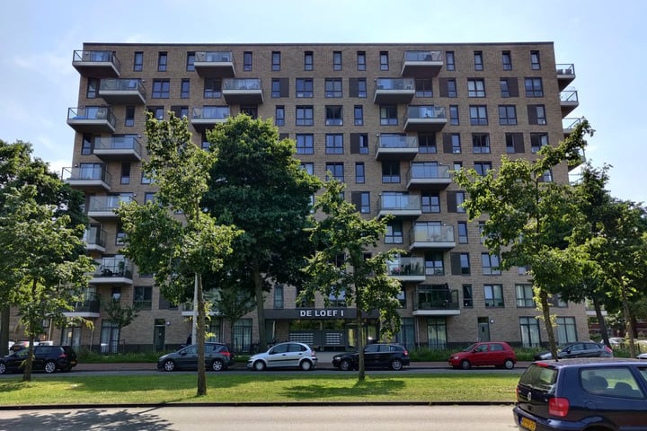 Loevesteinlaan 379-D