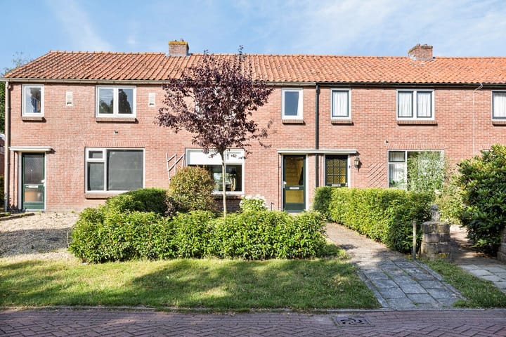 undefined main image