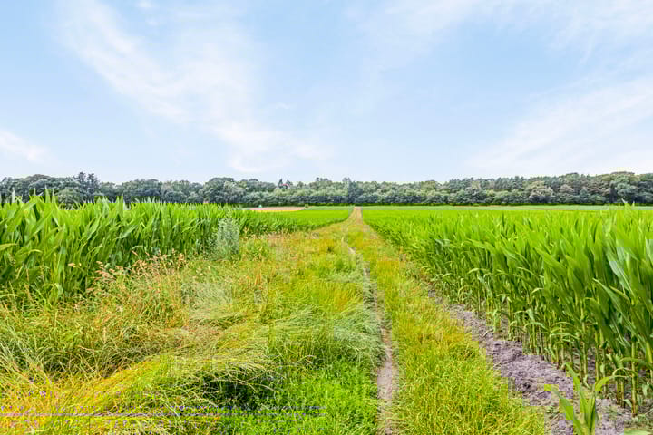 Foto 41 van Huurmansweg 6