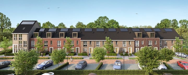 Red Naomistraat 16