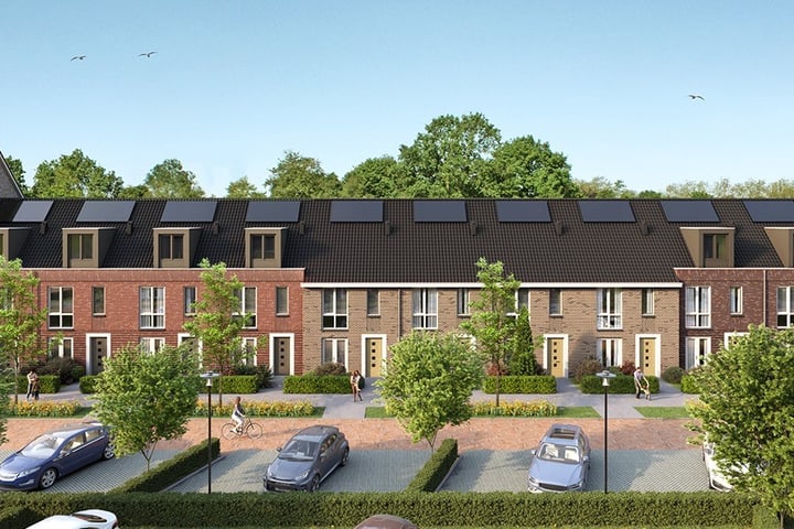 Red Naomistraat 14