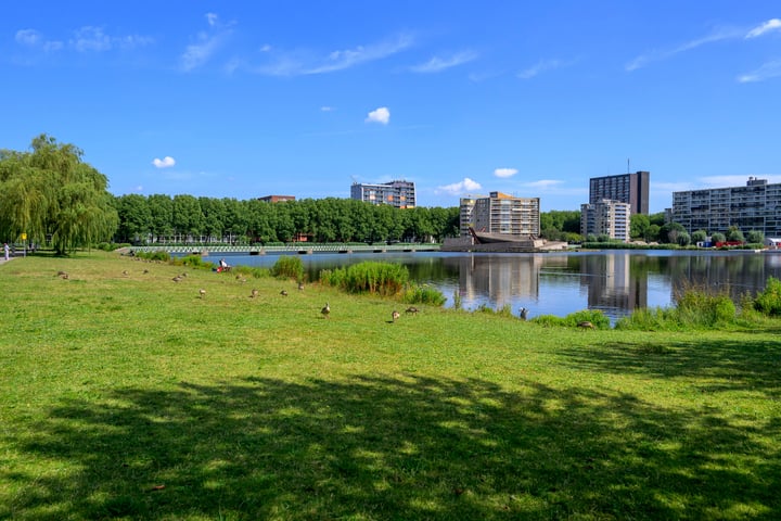 Bekijk foto 4 van A. Noordewier-Reddingiuslaan 33