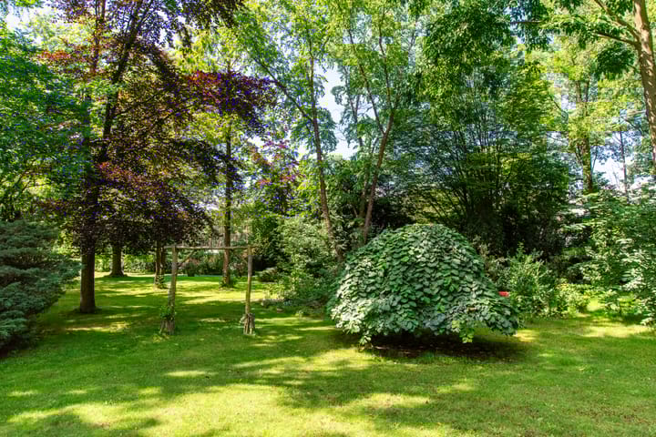 Foto 74 van Oude Stee 13