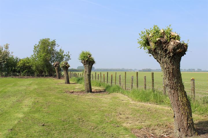 Bekijk foto 18 van Molenweg 2