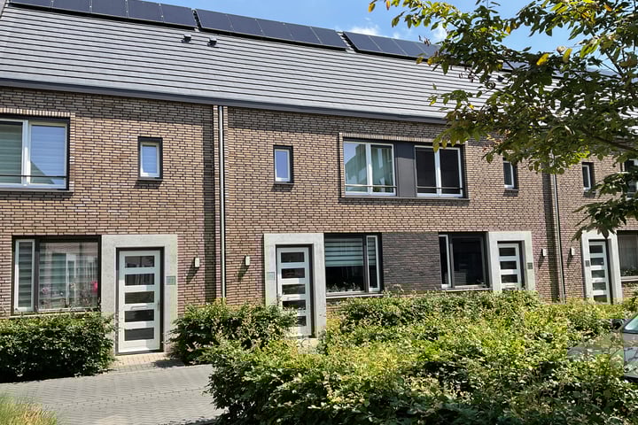 Goudvisstraat 29
