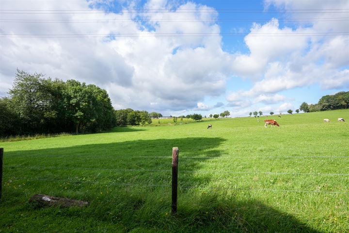 Bekijk foto 38 van Langs de Ling 1