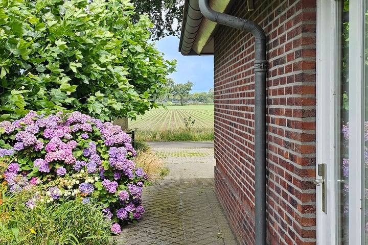 Bekijk foto 31 van Randweg 24