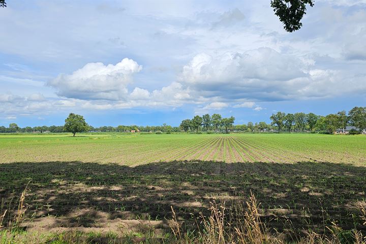 Bekijk foto 33 van Randweg 24