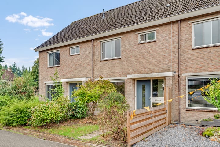 Foto 2 van Bonte Kraai 13