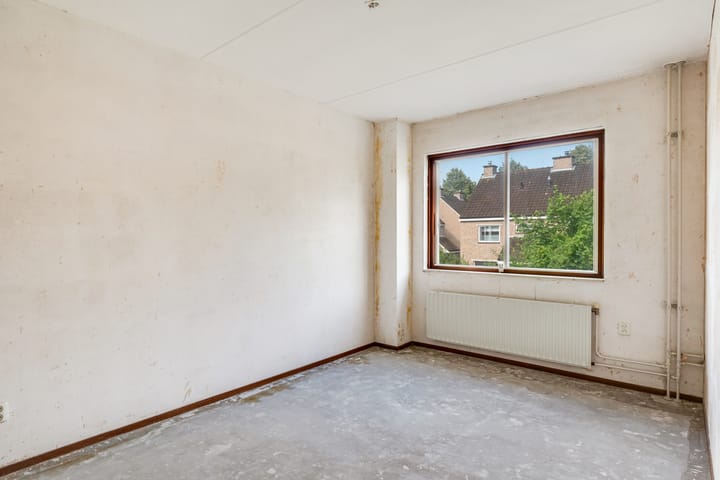 Foto 14 van Bonte Kraai 13