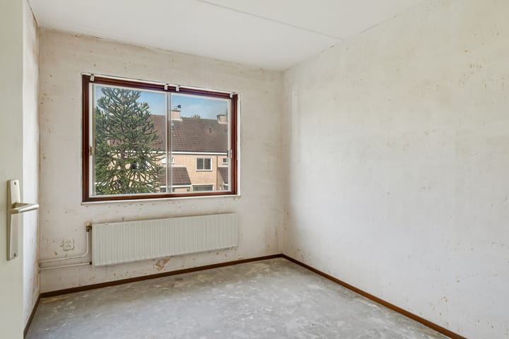 Foto 15 van Bonte Kraai 13