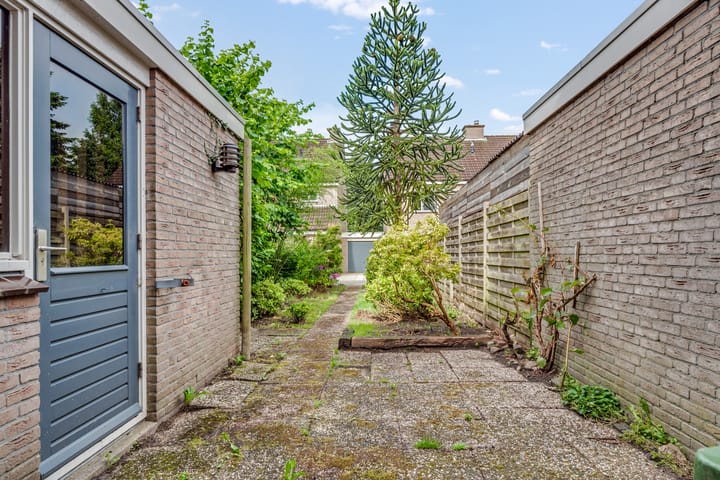 Foto 19 van Bonte Kraai 13