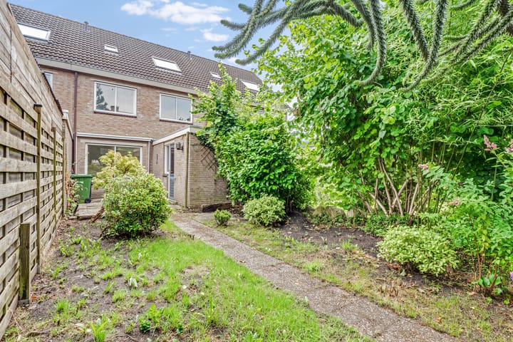 Foto 20 van Bonte Kraai 13